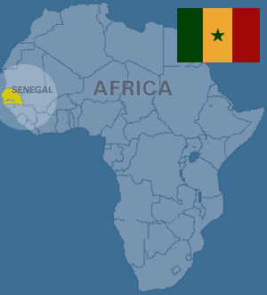 africa 